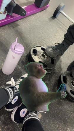 Recut | Headphone  Monkey
