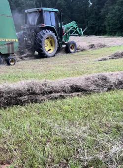 Recut | Farming 