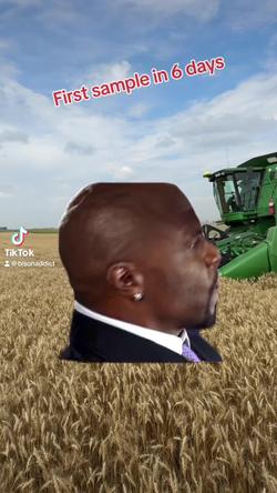 Recut | TERRY CREWS MEME