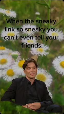 Recut | Cillian Murphy Meme