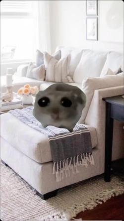 Recut | Sad Hamster 