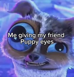 Recut | Cute eyes dog meme
