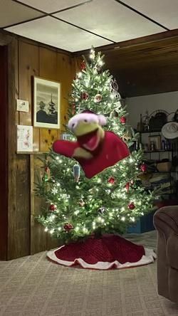 Recut | Christmas Kermit 