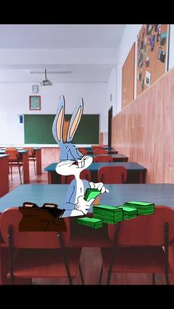 Recut | BUNNY COUNTING CASH