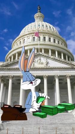 Recut | BUNNY COUNTING CASH
