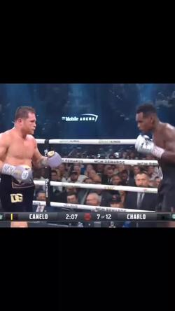 Recut | Knockout 