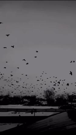 Recut | Slowmotion Instrumen