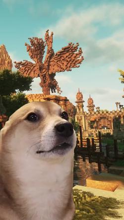 Recut | SHIBA INU DANCING