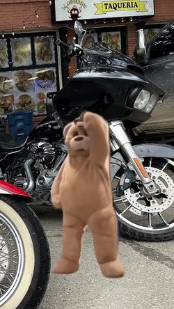 Recut | TEDDY BEAR DANCING