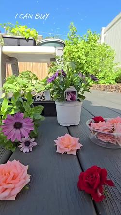 Recut | Miley Cyrus Flowers