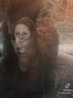 Recut | Couple template