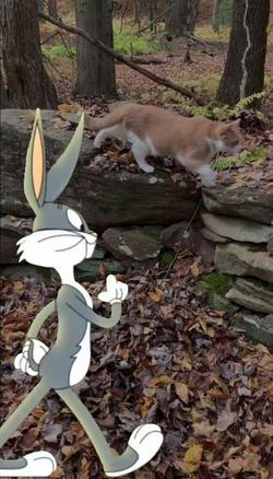 Recut | Bugs Bunny