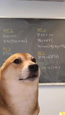 Recut | SHIBA INU DANCING