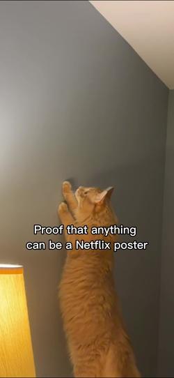 Recut | Proof Netflix Poster