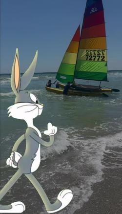 Recut | Bugs Bunny