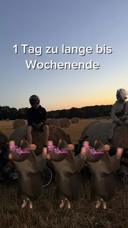 1 Clip hinzufügen