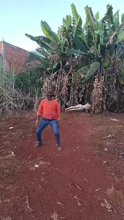 Adicione 1 clipe