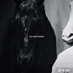Add 1 clip