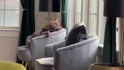 Add 1 clip