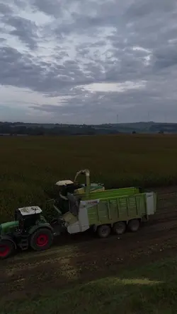 4 Clips hinzufügen
