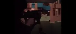 Add 27 clips