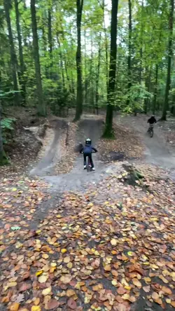 3 Clips hinzufügen