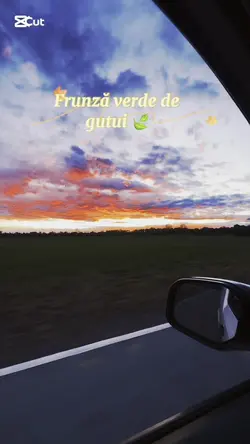 Adaugă 1 clip