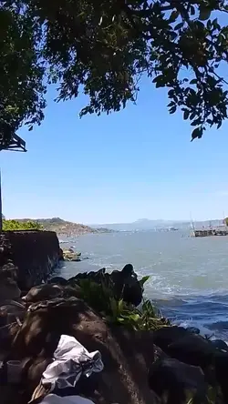 Add 1 clip