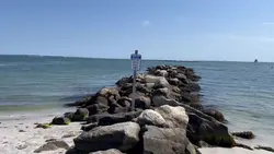 Add 1 clip