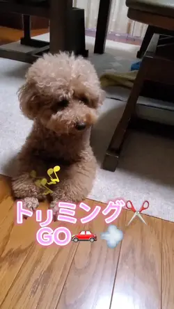 7個のクリップを追加