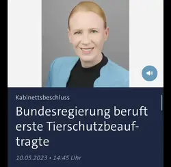 13 Clips hinzufügen