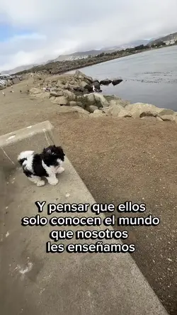 Agregar 4 clips