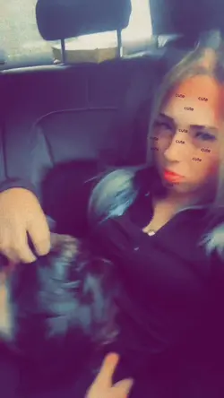 Add 12 clips