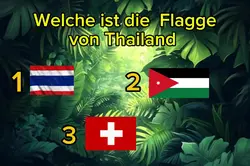 4 Clips hinzufügen
