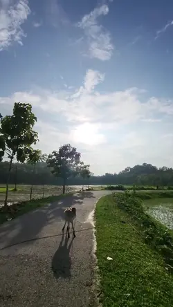 Add 1 clip