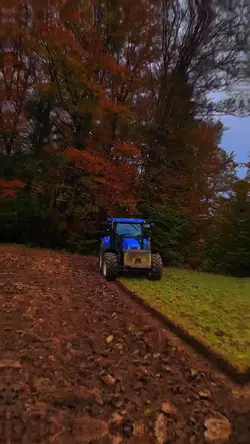 6 Clips hinzufügen
