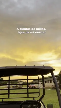 Agregar 1 clip