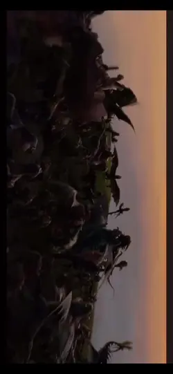 Add 3 clips