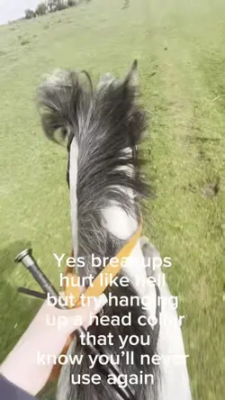 Add 1 clip