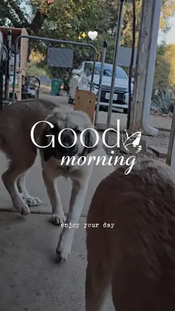 Add 1 clip