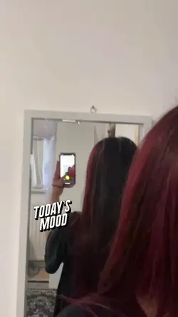 Add 11 clips