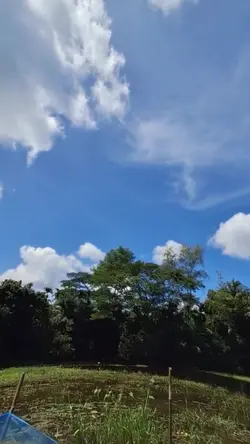 Add 1 clip
