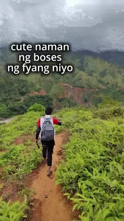 Add 1 clip