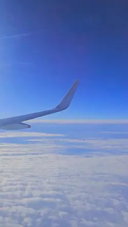 Add 1 clip