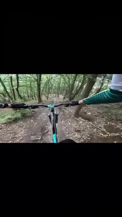 Add 7 clips
