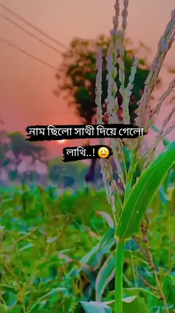 Add 1 clip