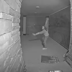 Add 5 clips