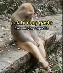 Add 1 clip