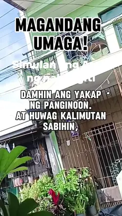 Add 1 clip