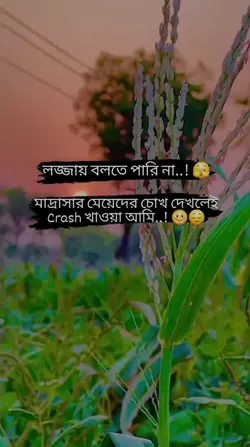 Add 1 clip